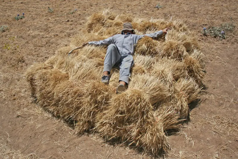 استراحت